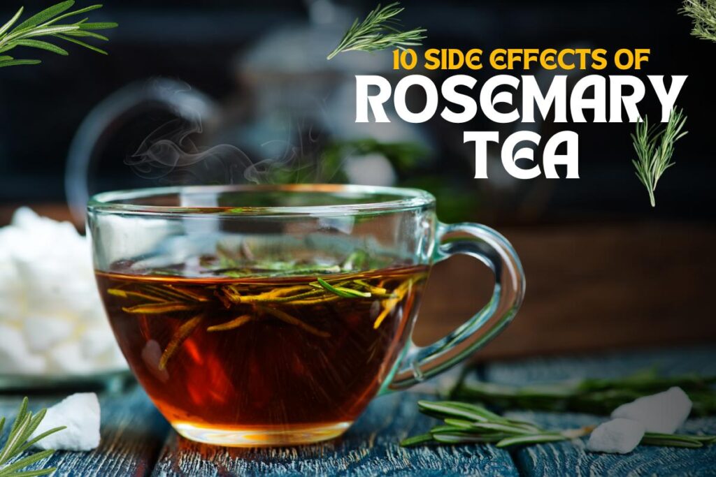 Top 10 Side Effects of Rosemary Tea You Should Know First