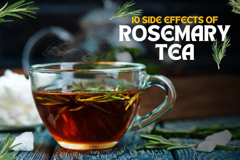 10 Side Effects of Rosemary Tea